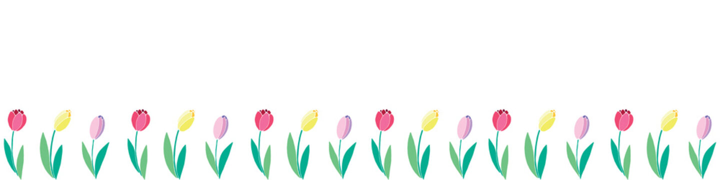 Row of red, pink, yellow tulip flowers. Vector hand drawn spring background isolated. Horizontal bottom edging, border, decoration for greeting card, Valentine's, Women's or Mother day