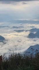 Beautiful bird's-eye view of the sea of mist in the green mountain forest, Phu Chee Fah, Thoeng District, Chiang Rai, Thailand.
