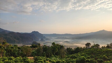 Fototapeta na wymiar Beautiful bird's-eye view of the sea of mist in the green mountain forest, Phu Chee Fah, Thoeng District, Chiang Rai, Thailand.