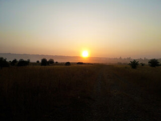 Fototapeta na wymiar lever de soleil dans un champs 