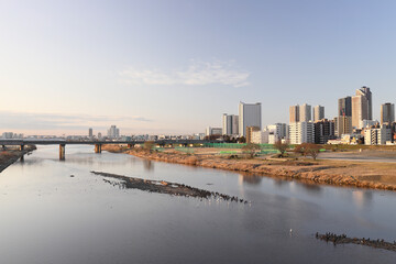 Cityscape of Tama River and Musashi Kosugi in the morning - obrazy, fototapety, plakaty