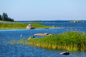 A Seascape in the bautiful summer day