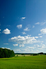 A Beautiful summer day in the countryside