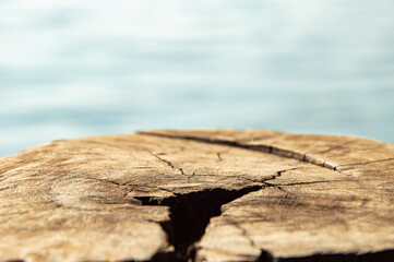 brown stump table  Blurred background, indigo water  sunny outdoor