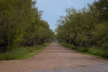 path with a hiker at Bentsen RGV state park