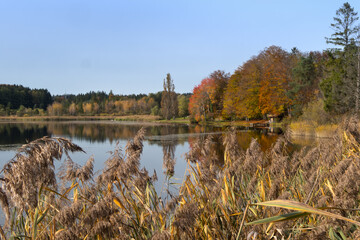 Teich in einem Naturschutzgebiet im Herbst