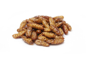 Fast food and snacks in Thailand fried chrysalis worms isolated white background.