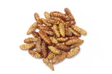 Fast food and snacks in Thailand fried chrysalis worms isolated white background.