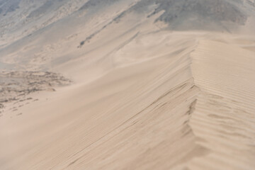 sand dune in the desert in nature