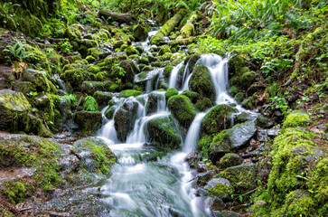 Fototapeta na wymiar waterfall in the forest - 10