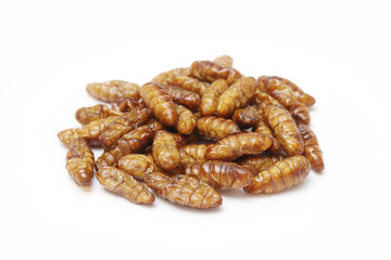 Fast food and snacks in Thailand fried chrysalis worms isolated white background.