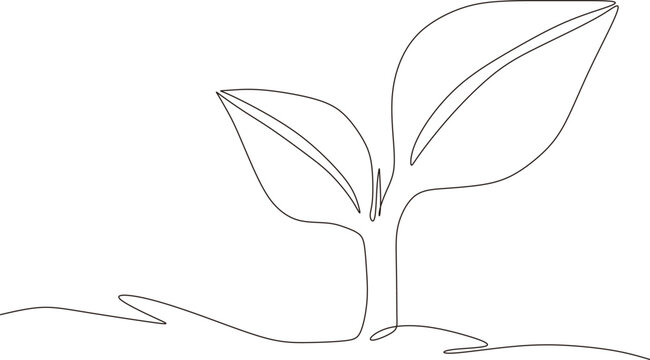 One line black and white drawing of natural green organic plantation for farm logo identity. Plant bud ecology icon concept of growth leaf shape. Trendy continuous line draw design vector illustration