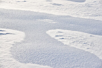 Snowy surface. White snow and snowdrifts in winter.