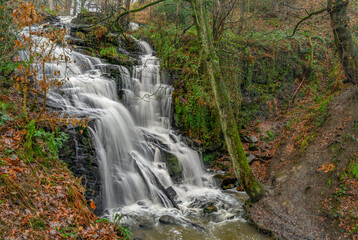 waterfall in autumn