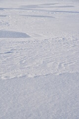 Snowy surface. White snow and snowdrifts in winter.