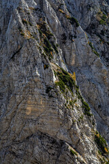 Hiking tour across Plemenice to Triglav
