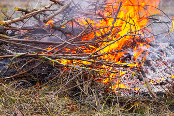 Burning dry twigs in the field. fire and the smoke of the fire
