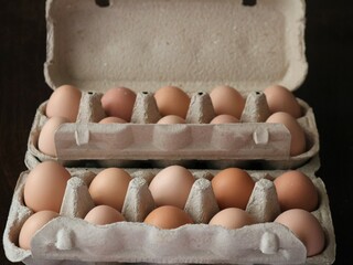 twenty chicken farm eggs with shells of beige tones in open cardboard packages close-up, food texture as a culinary background, organic protein food of animal origin in eco-package