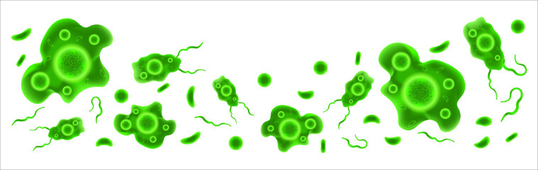  Amoeba background vector in green color, organism microbiology bacteria virus, template for diseases medical presentation 