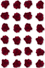 Valentine's Day. Flowers composition. frame made of rose flowers, background.