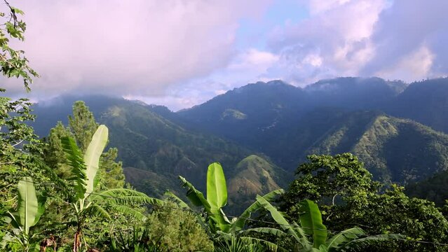 The Blue Mountains in Jamaica, Caribbean, Middle America