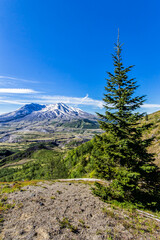 Mount Hood - scenic view 07