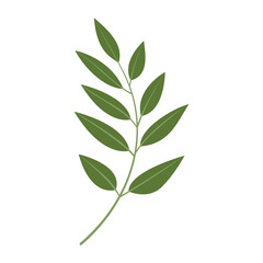 Fototapeta premium Branch with lush leaves isolated