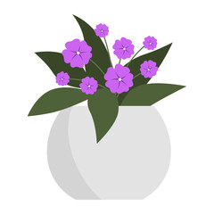 Houseplant with flowers isolated object