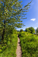 Trail in the mountains - 01