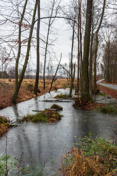 Frozen pool with trees and road above during winter