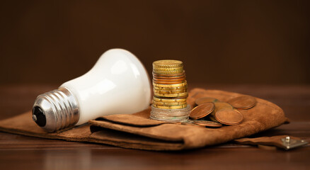 Lightbulb and money coins on a wallet. Energy savings, efficiency, save power or energy crisis banner. Change lightbulb.