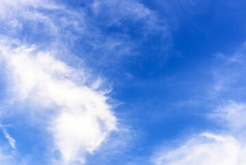 Beautiful cirrus clouds in the blue morning sky. background of blue sky and white cirrus clouds
