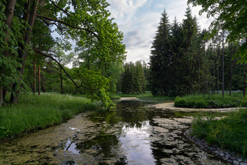 Swan Ponds in Catherine Park on a summer day, Tsarskoye Selo, Pushkin, St. Petersburg, Russia