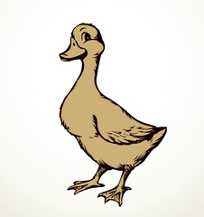 Cute duckling. Vector outline drawing
