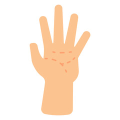 lines of palm hand reading illustration