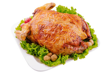 Plate with roasted turkey on plate
