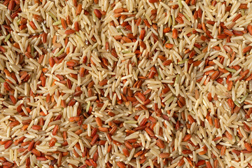 Close view of a portion of long grain brown rice and red rice.
