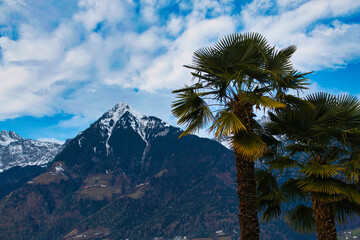 Fototapeta na wymiar Palmen, deren Stamm mit Lichterketten geschmückt ist, vor Bergpanorama