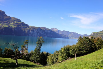 Obraz premium Viewon the Lake Sarnen which is a lake in the Swiss canton of Obwalden