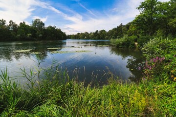 Nature on the Amper river, near Dachau, Bavaria. - obrazy, fototapety, plakaty