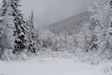 L'hiver dans la Vall&eacute; Bras-du-Nord