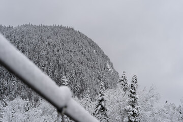 L'hiver dans la Vall&eacute; Bras-du-Nord