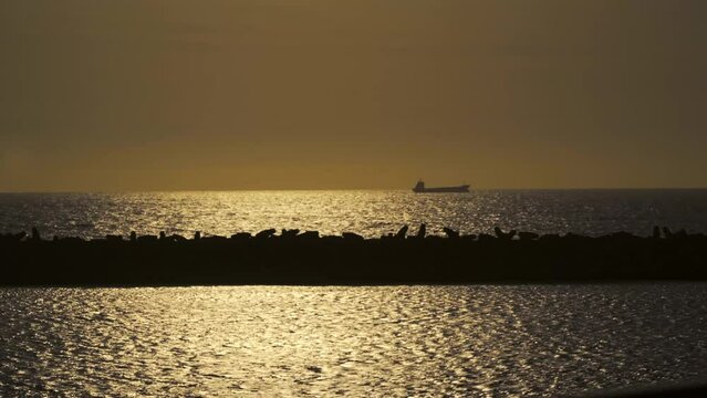 Viagem barco