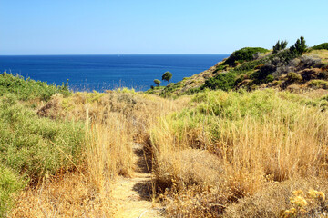 Fototapeta na wymiar Dried grass on a hill by the coast in the town of Kolymbia on the island of Rhodes, Greece. 