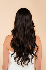 Fototapeta premium Back view of woman with long brunette hair standing isolated on beige.
