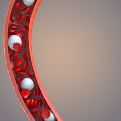 Medical background, blood flow of erythrocytes red blood cells in a living body, leukocytes, 3d rendering