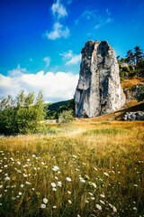 Impressions from the Altmühltal, Bavaria, Germany

