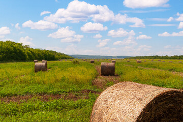 Summer agricultural landscape, under a beautiful sky. Green landscape with hay rolls.