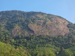 view of the valparai mountains, Tamil Nadu, India  
