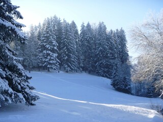 Winter in Blackforest